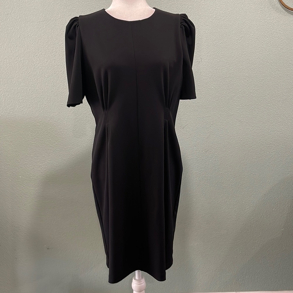 Express Puff Sleeve Black Dress
